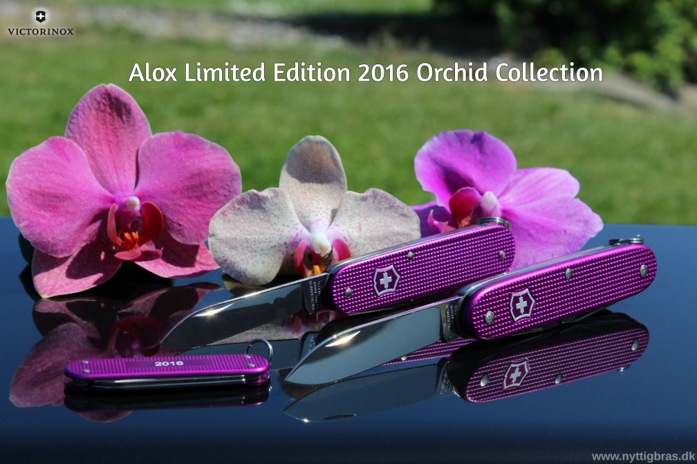 Victorinox Alox Limited Edition 2016 Orhid - Alle 3 lommeknive samlet