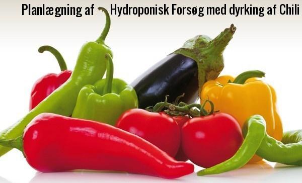 Visning af opstart af hydroponisk projekt hos Nyttigbras.dk