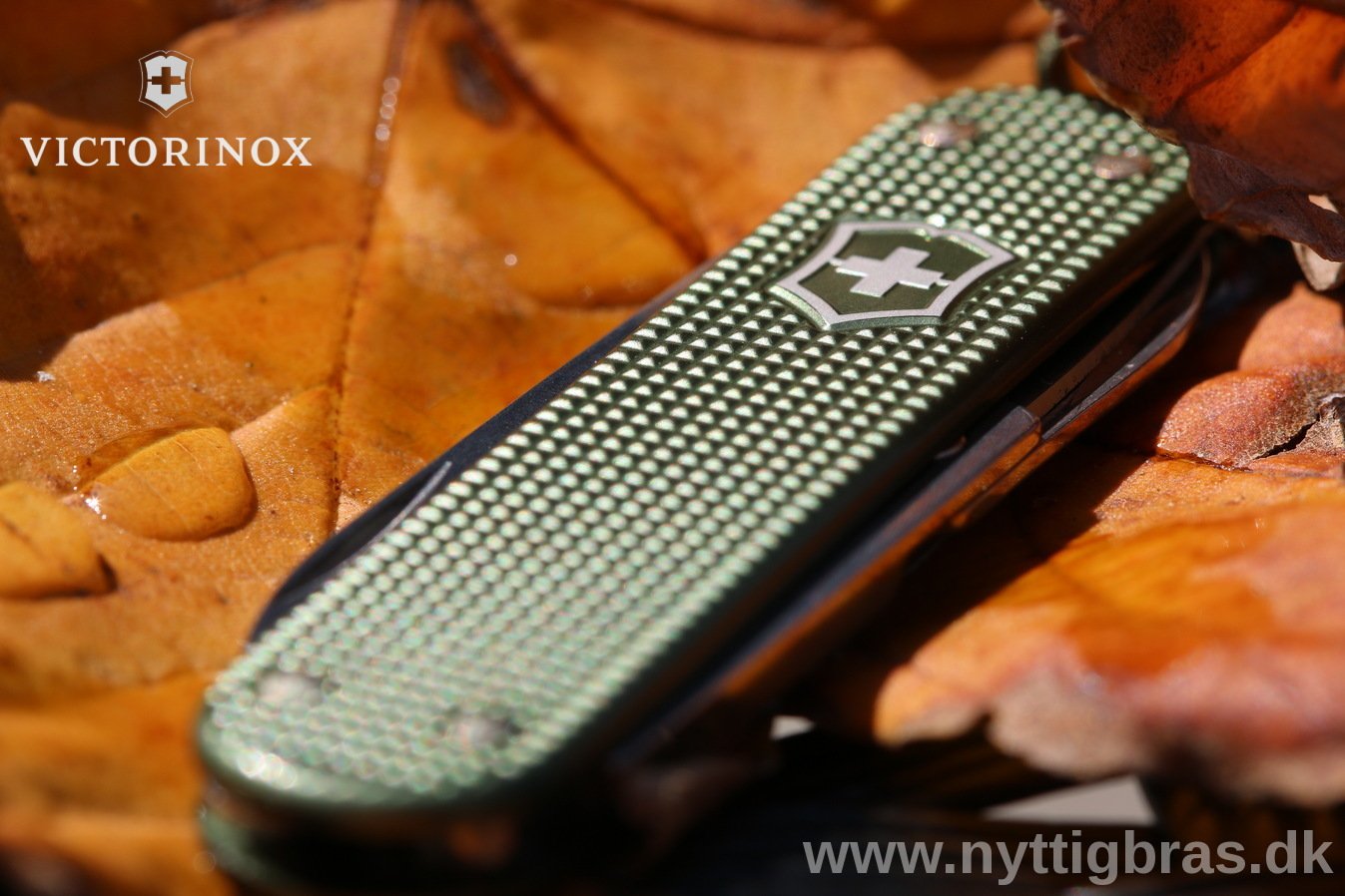 Makro foto af Victorinox Alox Classic 2017 Limited Edition Olive