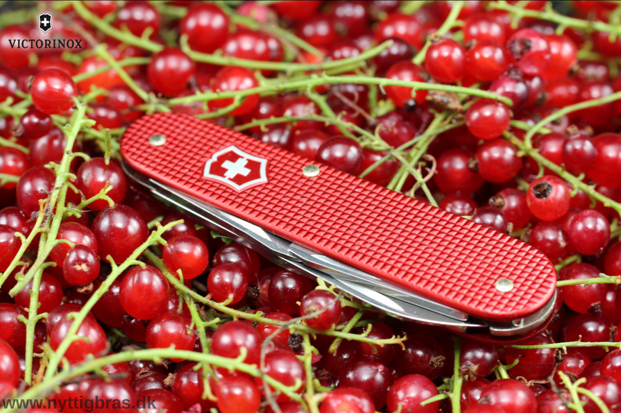 Victorinox Cadet Alox Rød Limited Edition Præsentation