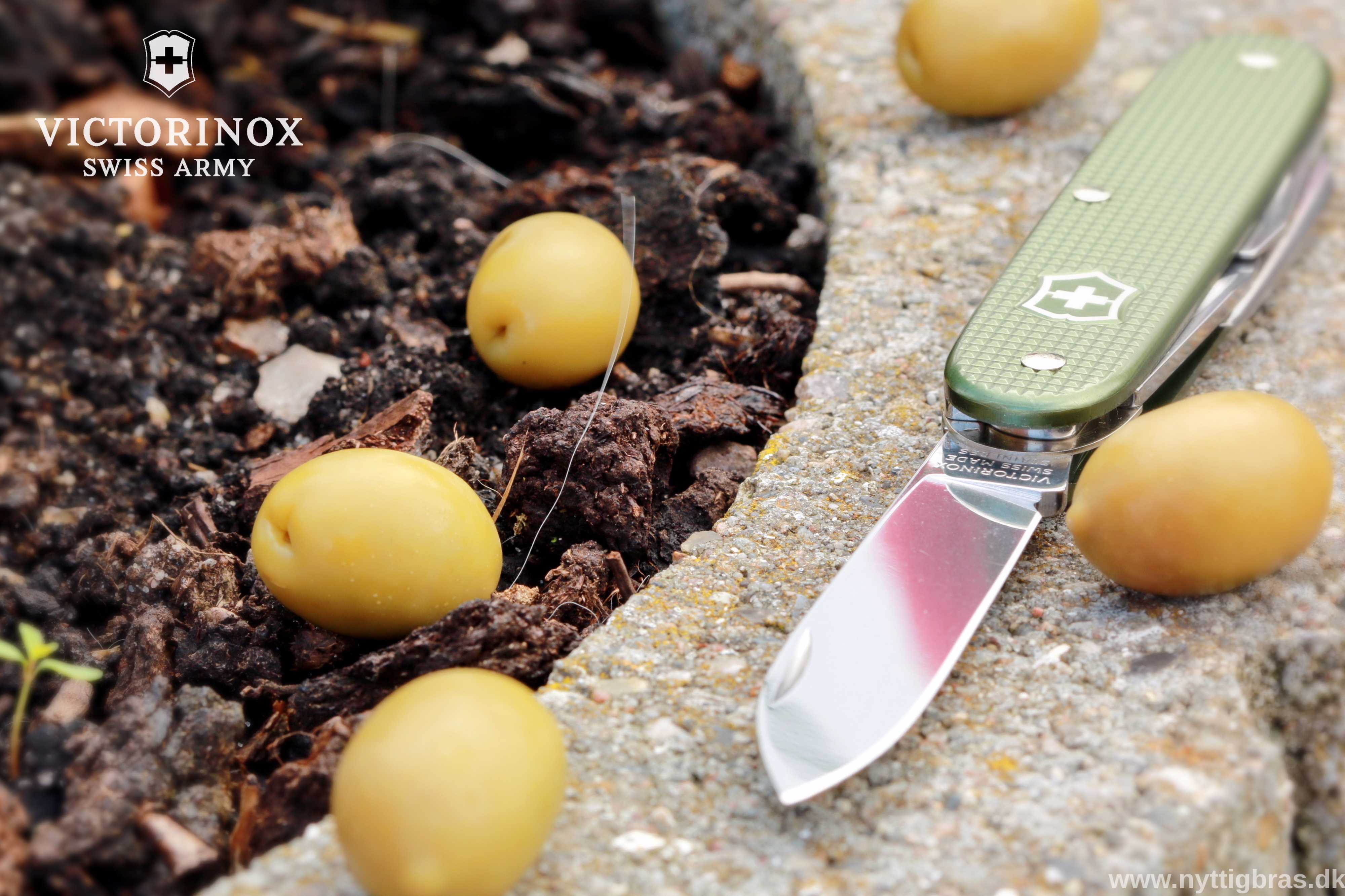 Portræt af Victorinox Lommekniv Pioneer Alox Limited Edition 2017 Olive med oliven